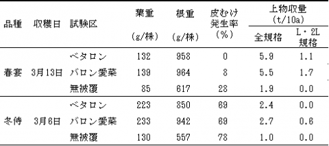 ダイコン表1-1-1