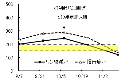 図3ピンポン玉大に肥大した果房直下の葉柄汁液中のリン濃度の推移のうち抑制栽培の圃場