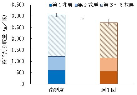 かん水回数の違いが可販収量に及ぼす影響