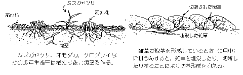 水稲刈り取り後早期の耕うん