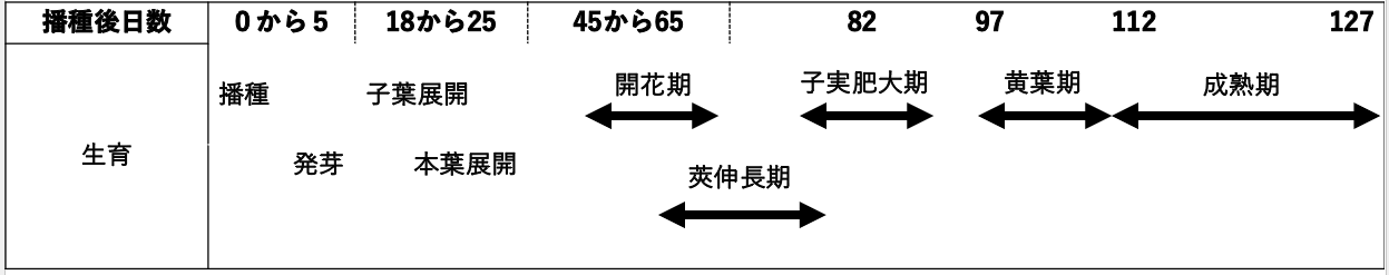 図1大豆の生育