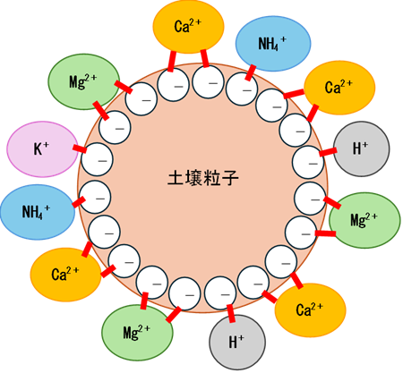 CECの概念図