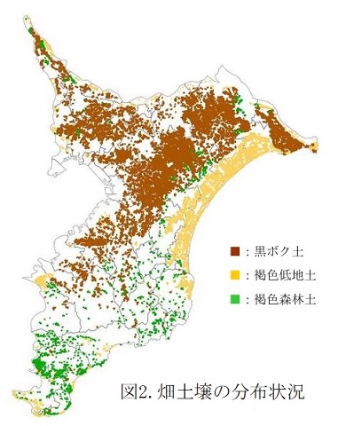 図2畑土壌の分布状況の図