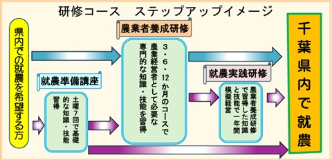 研修コースステップアップイメージ