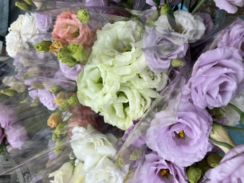 花き園芸専攻教室2