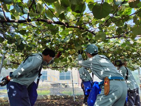 果樹園芸専攻教室2