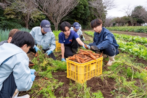 露地野菜専攻教室2
