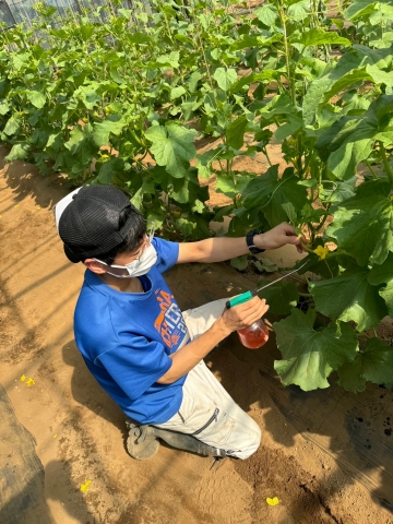 施設野菜専攻教室2