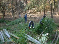 里山の整備イメージ2