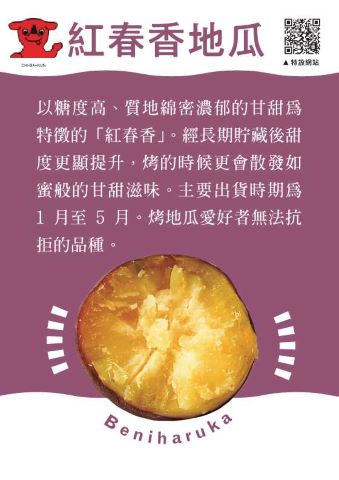 紅はるか紹介ポップ