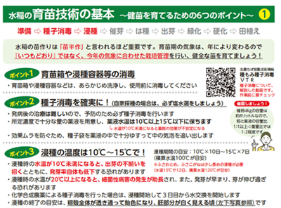 水稲の育苗技術の基本 生産者向け資料