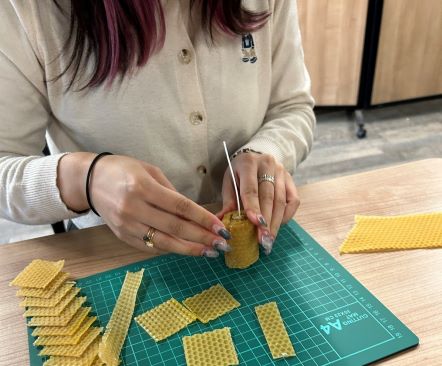 蜜蝋キャンドル作り体験の様子