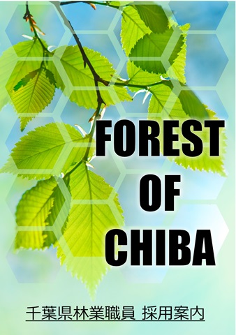 食委員採用パンフレットの画像