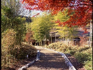 竹笹園の写真