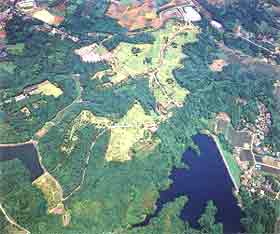 昭和の森の上空写真