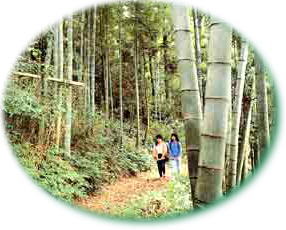 長柄町中野台の写真