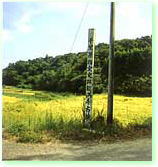 能満寺古墳の写真