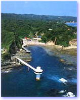 勝浦海中公園の写真