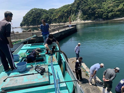 勝浦市浜行川漁港における放流の様子