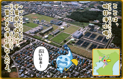 ここは、柏井浄水場。千葉県水道局で、一番大きな浄水場なんだよ。広いなぁ～
