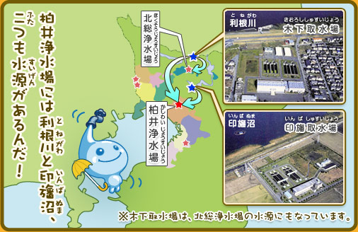 柏井浄水場には、利根川と印旛沼、二つも水源があるんだ。※木下取水場は、北総浄水場の水源にもなっています。