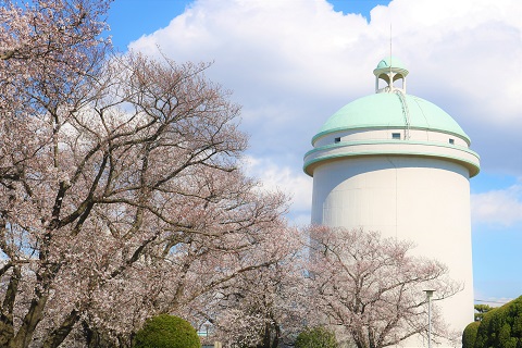 栗山配水塔と桜の写真