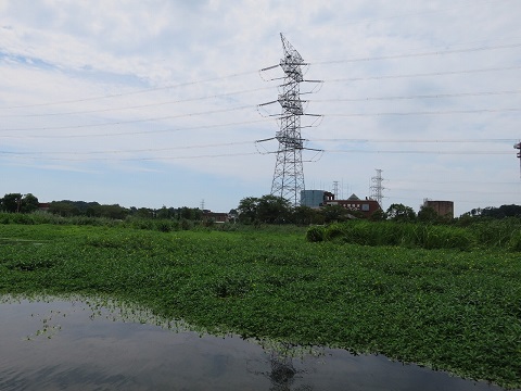 手賀沼（北千葉第二機場周辺）の画像