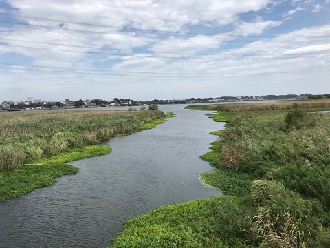 大津川（河口付近）の画像