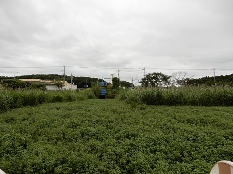 川面の画像