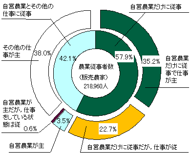 グラフ販売農家における農業従事者の構成比