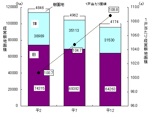 グラフ経営耕地面積と農家1戸当たり経営耕地面積