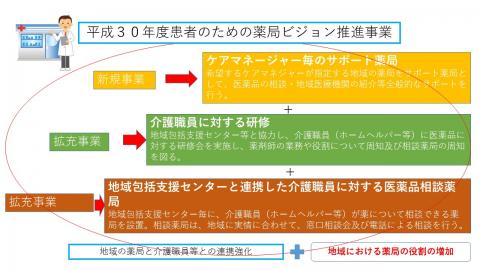 平成30年度患者のための薬局ビジョン推進事業